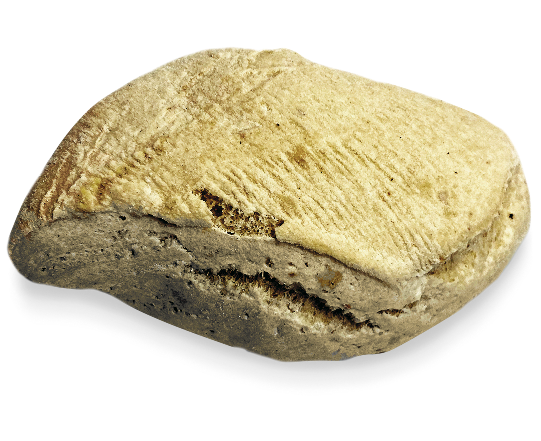 pane gocciolina